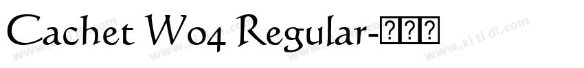 Cachet W04 Regular字体转换